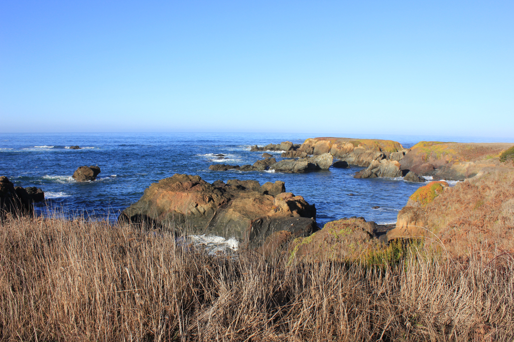 IMG_5608 Mendocino Coast Property Management, Inc.