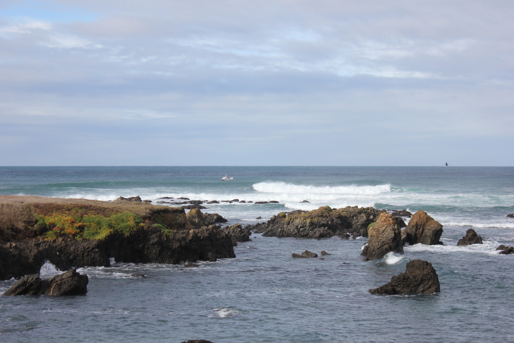 IMG_5842 Mendocino Coast Property Management, Inc.